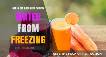 Prevent Frozen Chicken Water: Beet Juice as a Natural Solution?