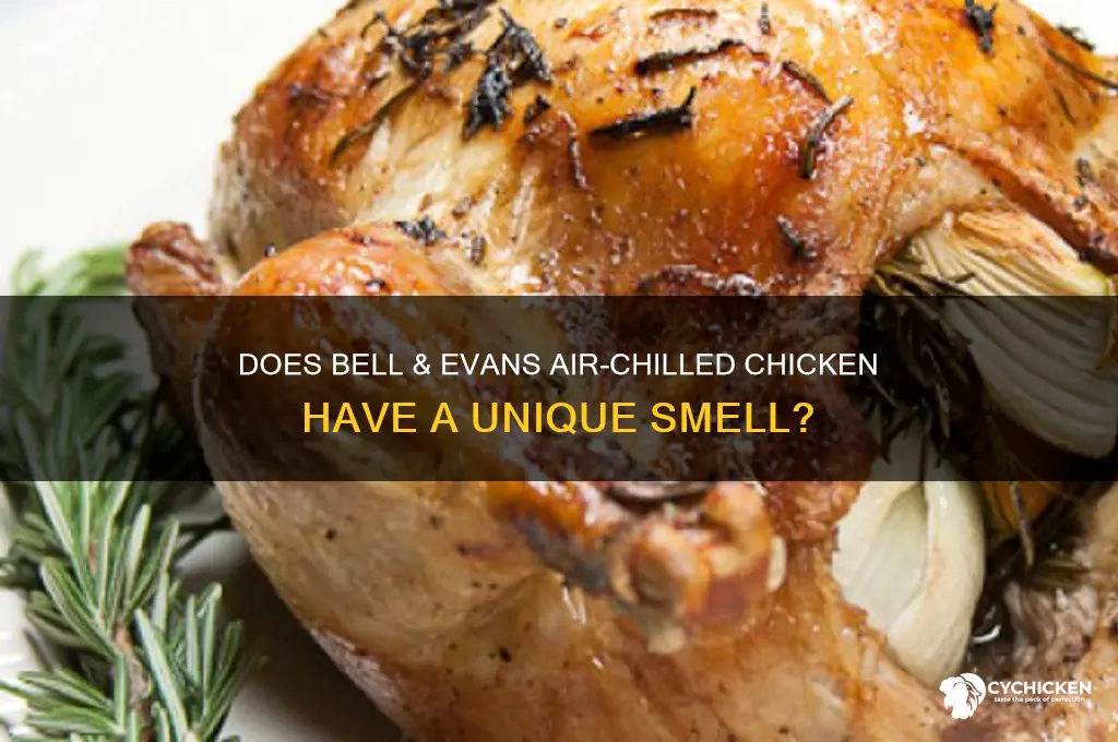 does bell & evans air chilled chicken smell different