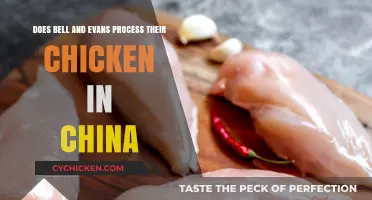 Bell & Evans: China Chicken Processing Truth