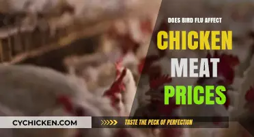 How Bird Flu Outbreaks Impact Chicken Meat Prices: A Deep Dive