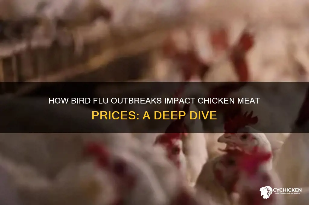 does bird flu affect chicken meat prices