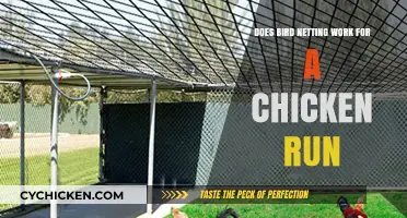 Effective Bird Netting Solutions for Protecting Your Chicken Run