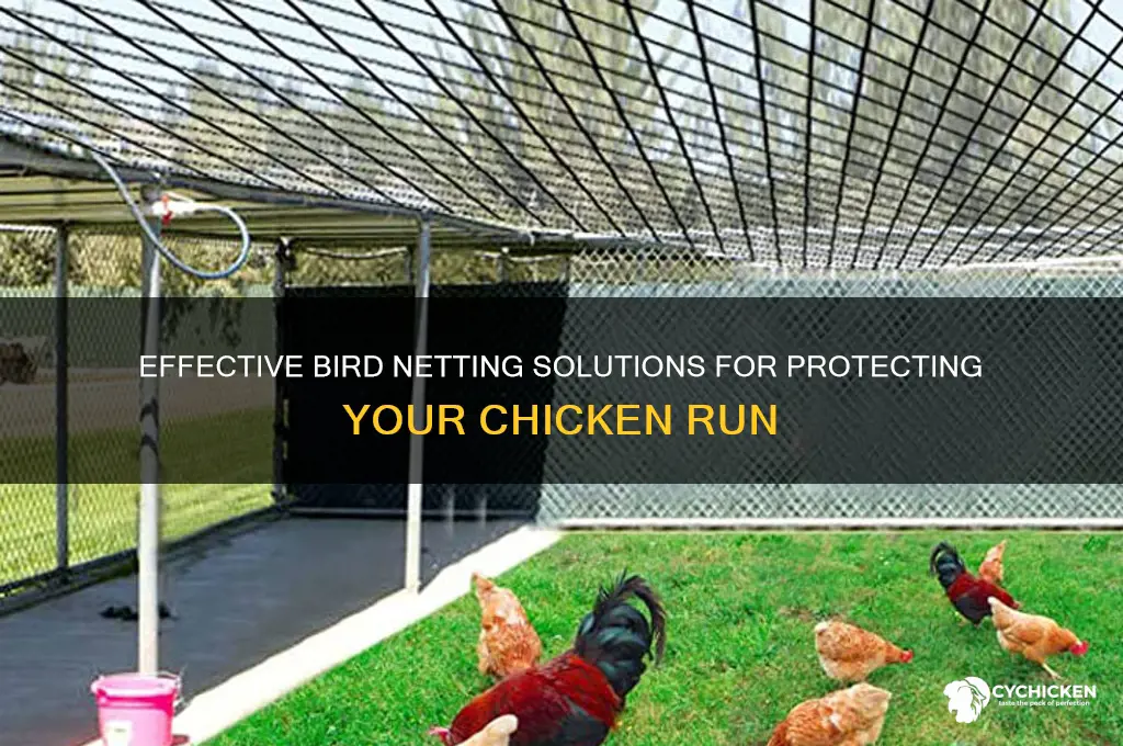 does bird netting work for a chicken run