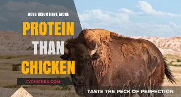 Bison vs. Chicken: Which Protein Source Packs More Punch?