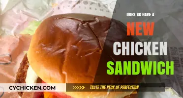 Burger King's New Chicken Sandwich: A Tasty Upgrade or Miss?