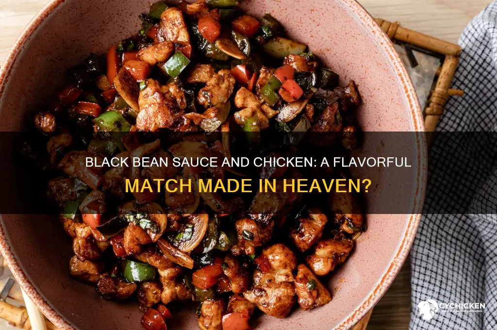 does black bean sauce go with chicken