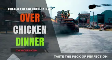 Bluehole's Battle: Can They Claim the Chicken Dinner?