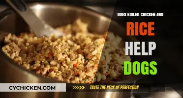 Boiled Chicken and Rice for Dogs: Benefits, Risks, and When to Use