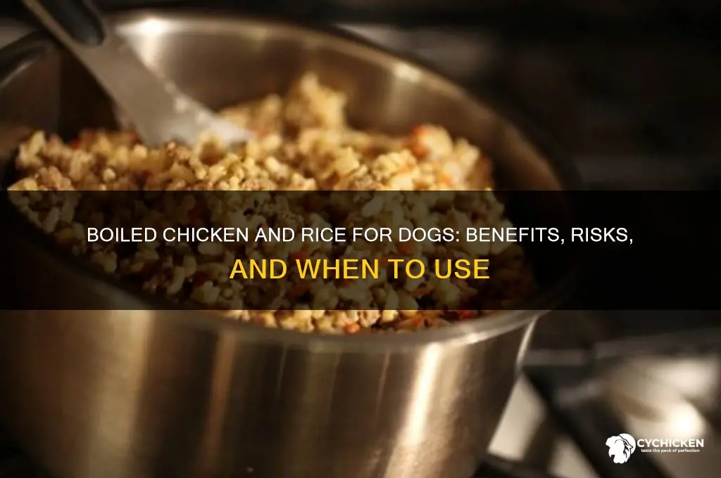 does boiled chicken and rice help dogs