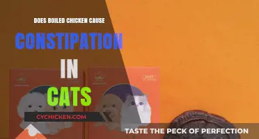 Boiled Chicken and Constipation in Cats: What You Need to Know