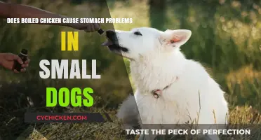 Boiled Chicken: Friend or Foe for Small Dogs?