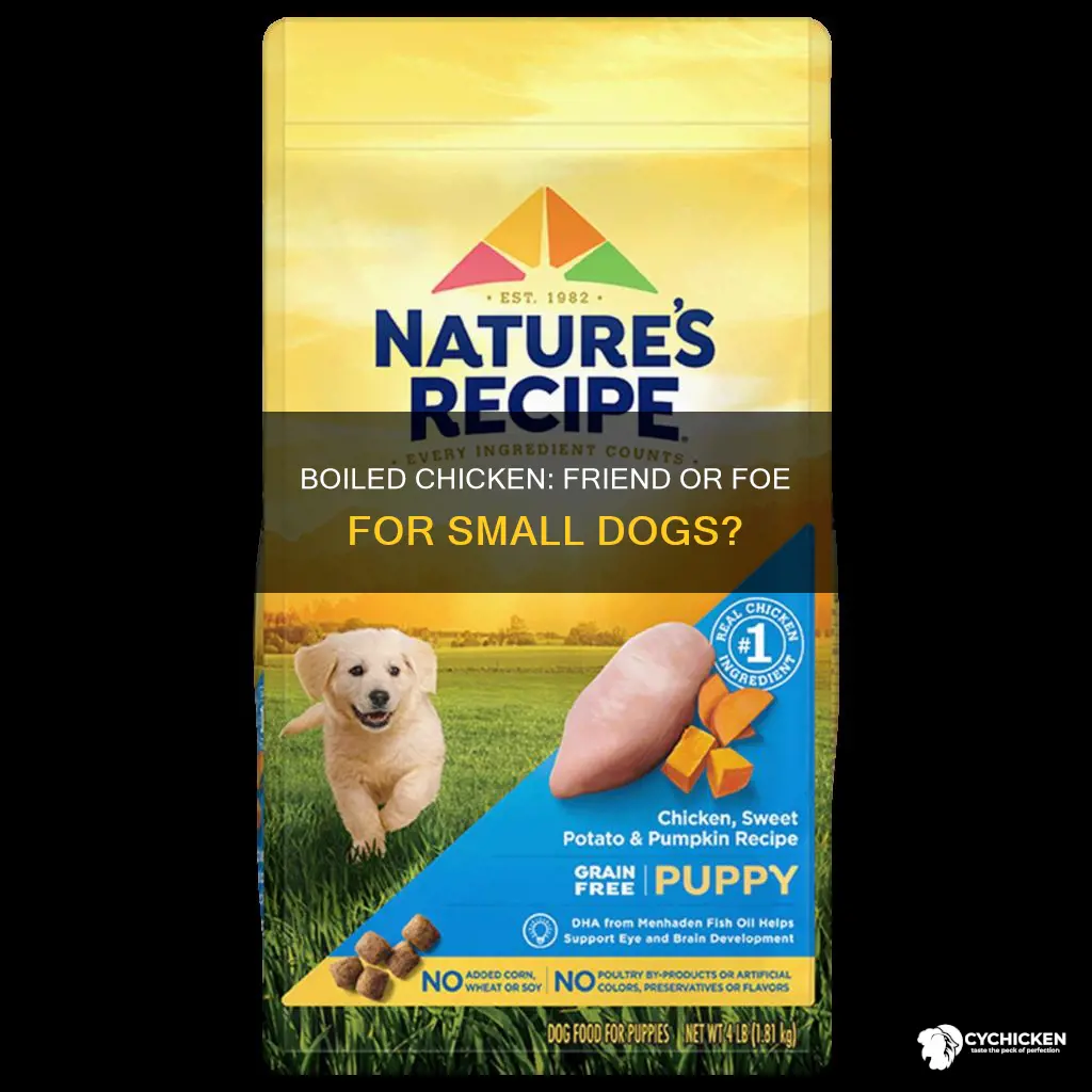 does boiled chicken cause stomach problems in small dogs