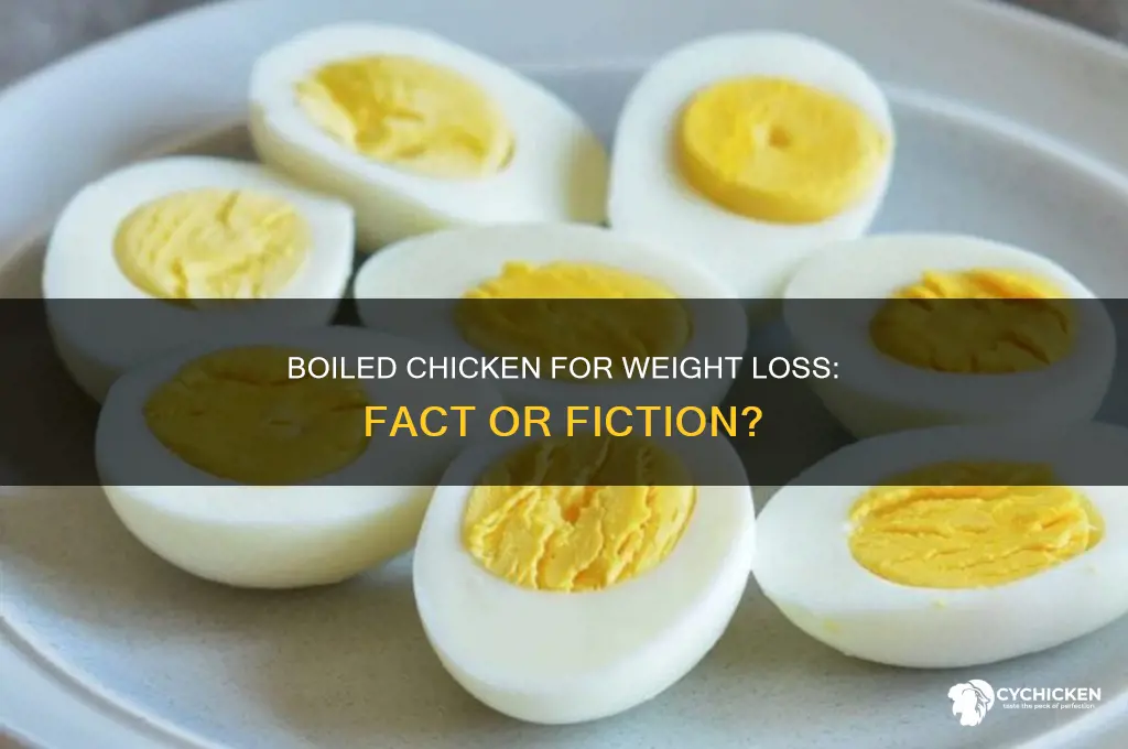 does boiled chicken help you lose weight