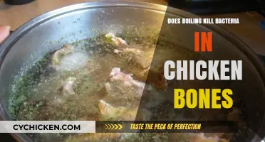 Boiling Chicken Bones: Does It Effectively Kill Bacteria?