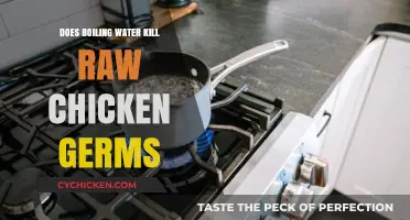 Boiling Water vs. Raw Chicken Germs: Does It Kill Bacteria?