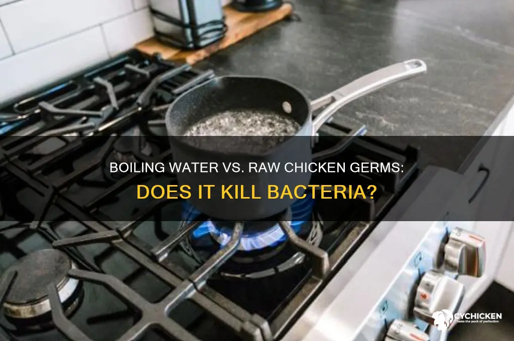 does boiling water kill raw chicken germs