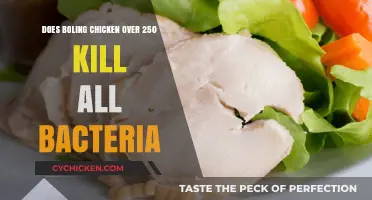 Boiling Chicken Over 250°F: Does It Eliminate All Bacteria?