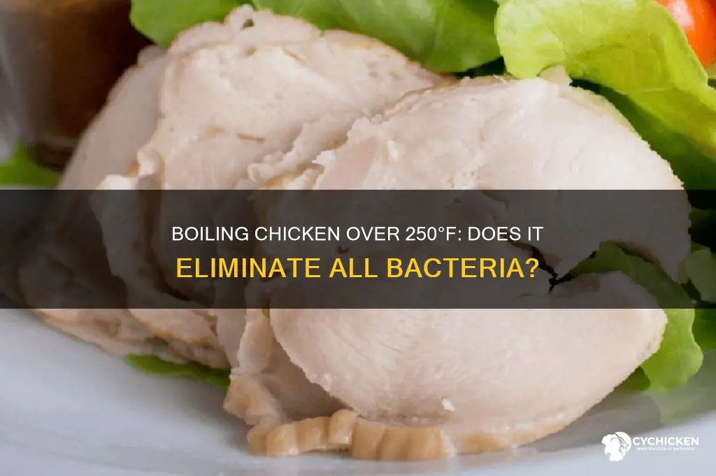 does boling chicken over 250 kill all bacteria