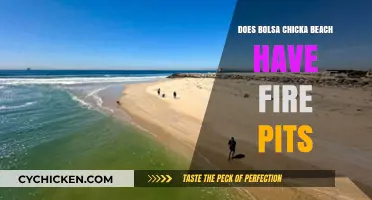 Bolsa Chica Beach Fire Pits: Availability, Rules, and Tips for Visitors