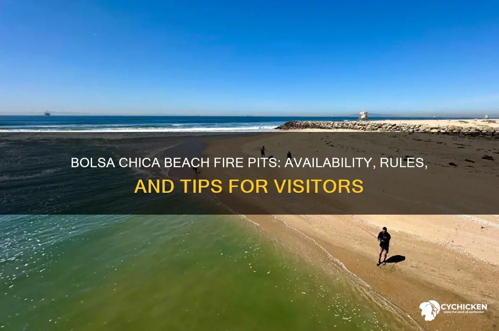 does bolsa chicka beach have fire pits