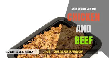 Brisket Varieties Explained: Chicken or Beef – Which One is Real?
