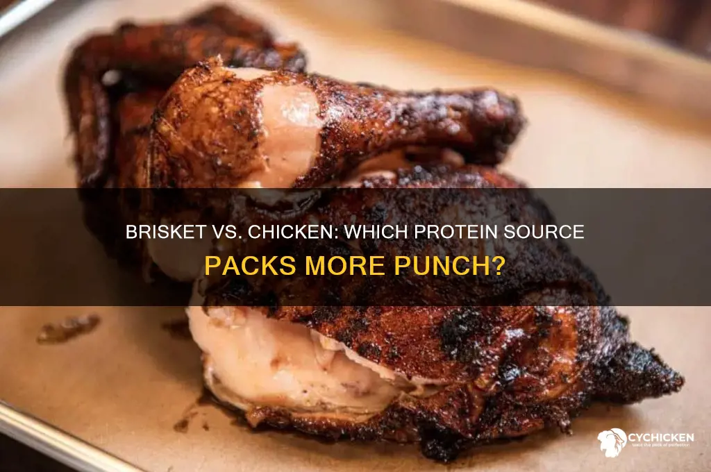 does brisket have more protein than chicken