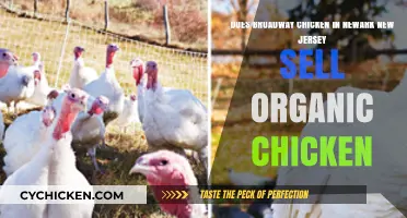 Broadway Chicken: Organic or Not?