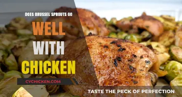 Brussels Sprouts and Chicken: A Perfect Pairing or Culinary Clash?