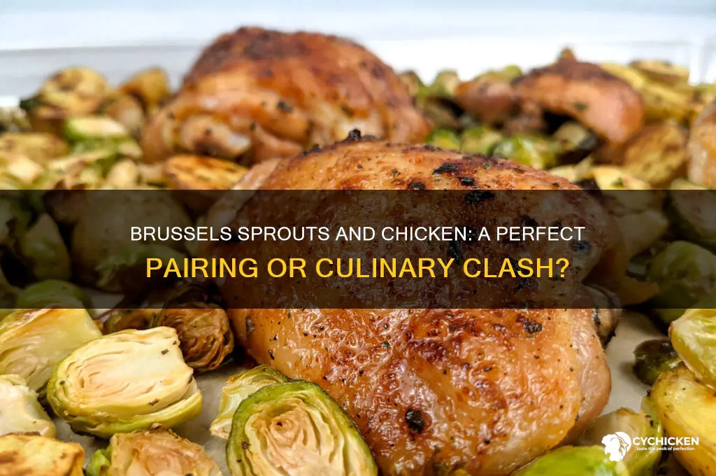 does brussel sprouts go well with chicken