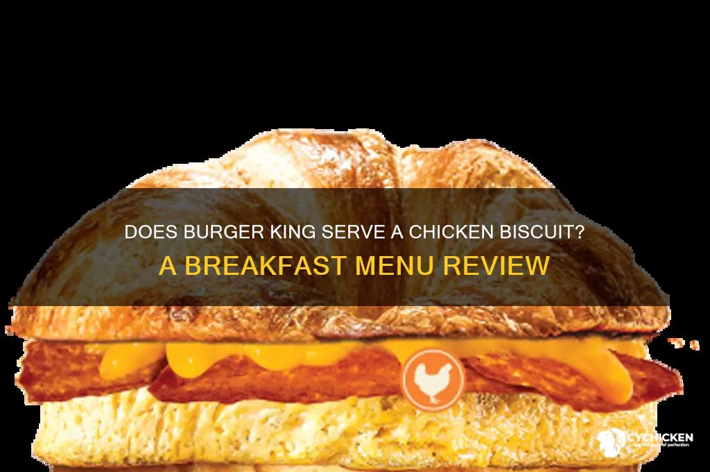 does burger king have a chicken biscuit