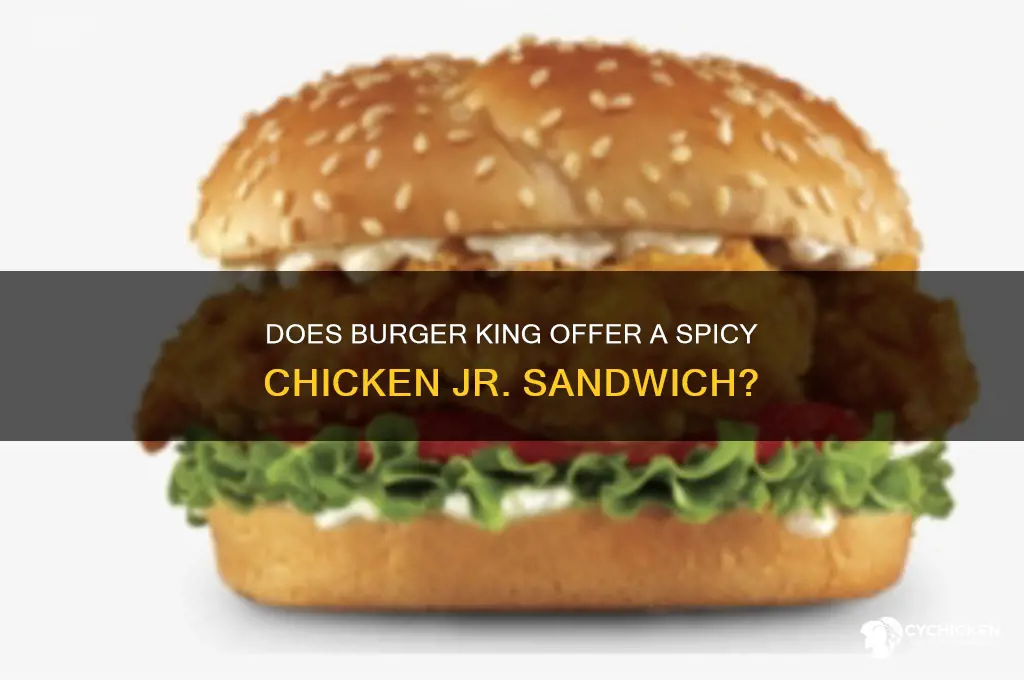 does burger king have a spicky chicken jr