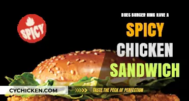 Does Burger King's Spicy Chicken Sandwich Pack a Fiery Punch?