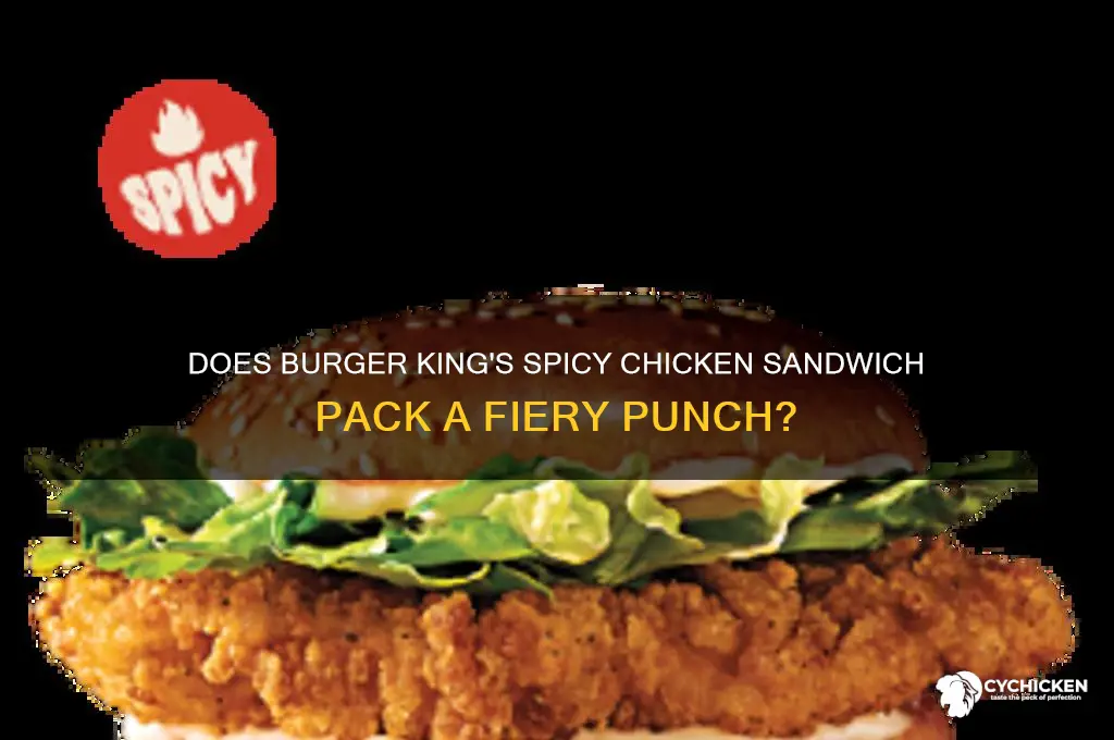 does burger king have a spicy chicken sandwich