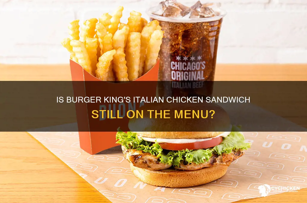 does burger king have the italian chicken sandwich