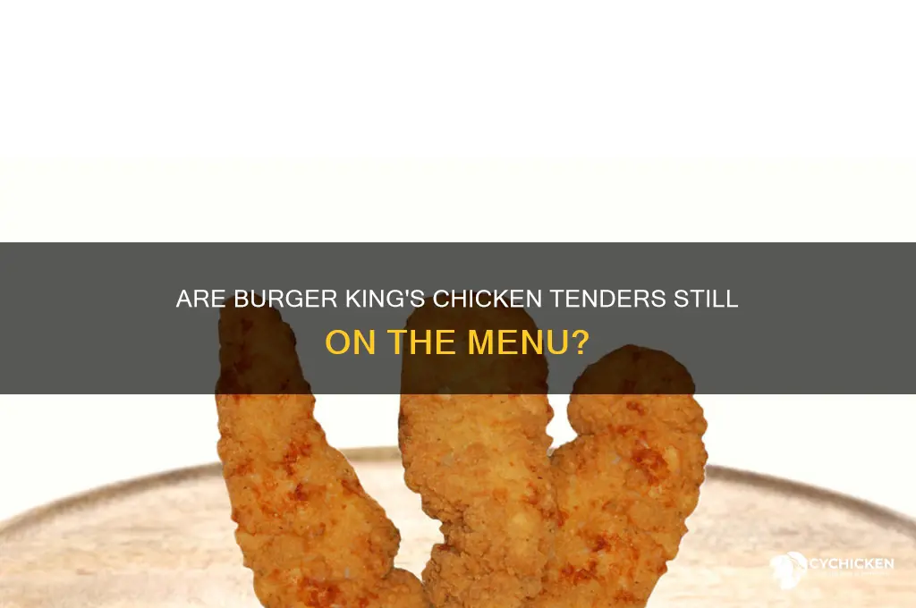 does burger king still have chicken tenders