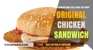Is Burger King's Spicy Original Chicken Sandwich Still on the Menu?