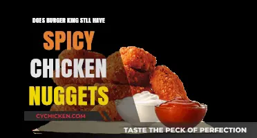 Are Burger King's Spicy Chicken Nuggets Still on the Menu?
