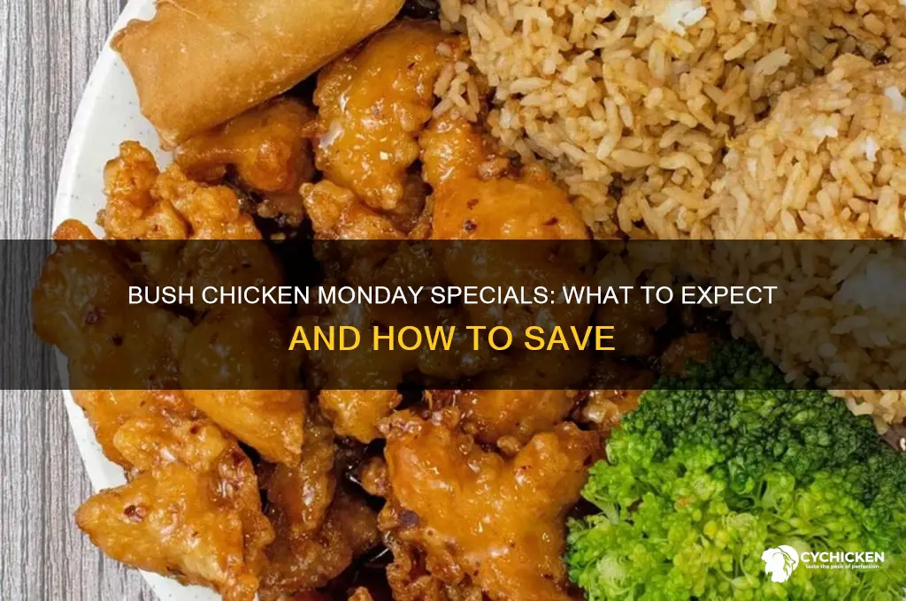 does bush chicken have specials on monday