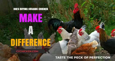 Organic Chicken: Healthier, Ethical, or Just a Marketing Gimmick?