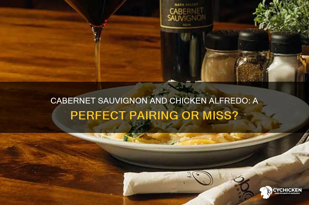 does cabernet sauvignon go with chicken alfredo