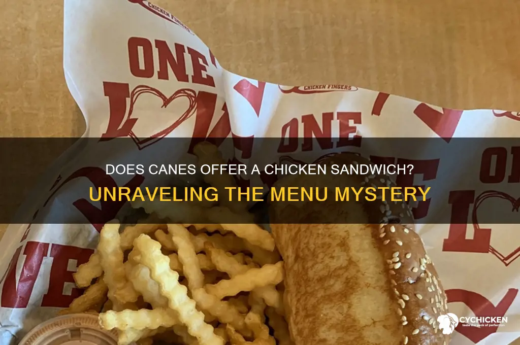 does canes have a chicken sandwich