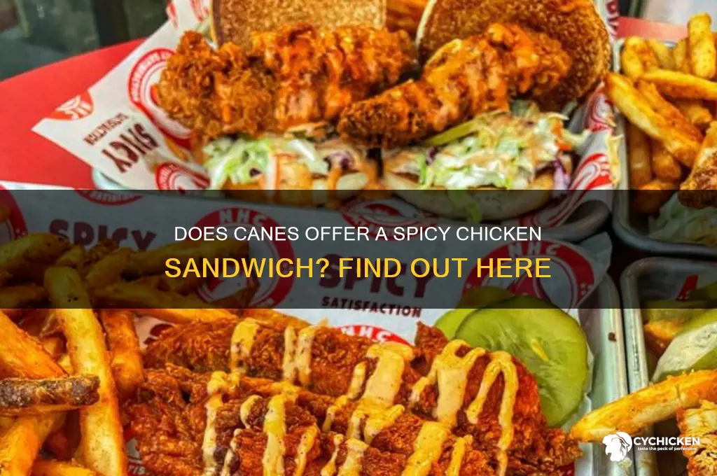 does canes have a spicy chicken sandwich