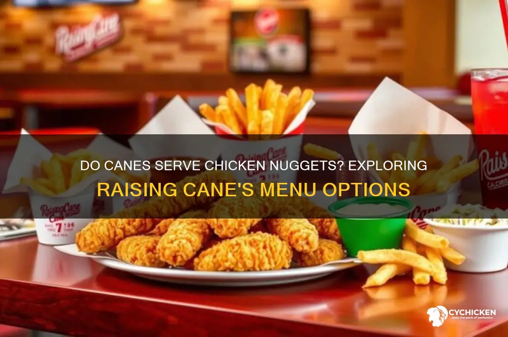does canes have chicken nuggets