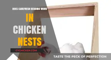 Carefresh Bedding in Chicken Nests: Effective or Not?