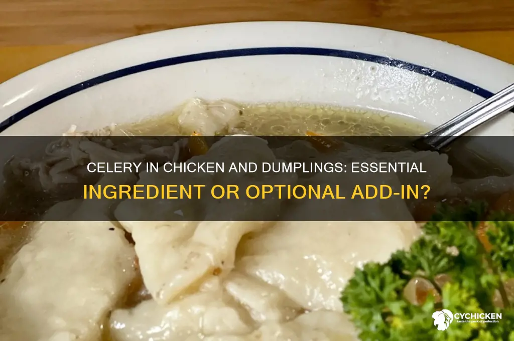 does celery go in chicken and dumplings