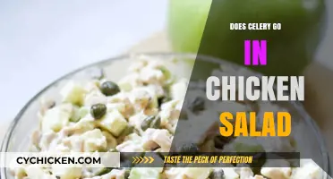 Crunchy Freshness: Celery's Role in Classic Chicken Salad