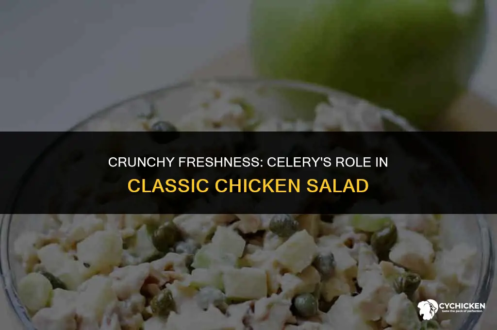 does celery go in chicken salad