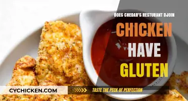Does Chedar's Restaurant's Chicken Contain Gluten? Find Out Here