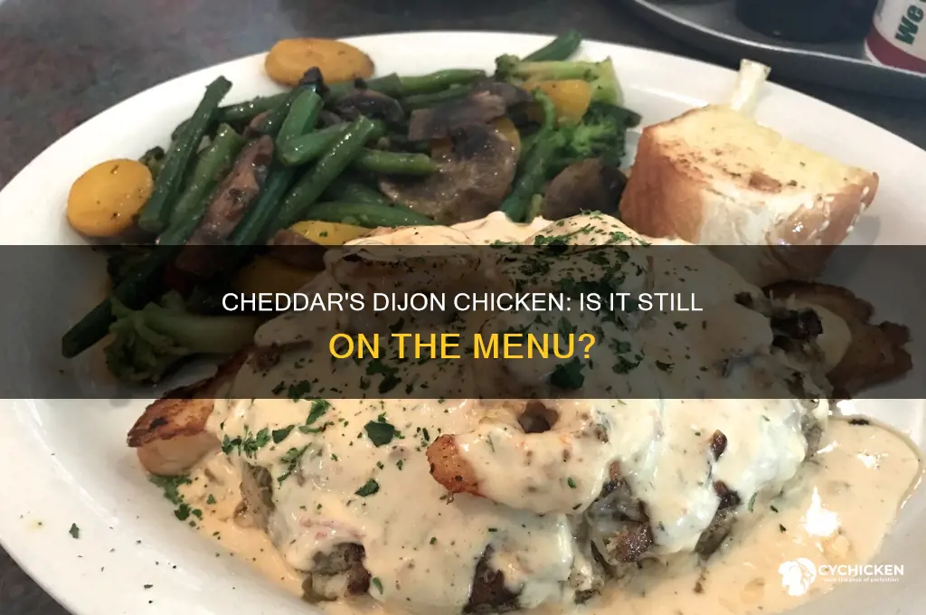 does cheddar