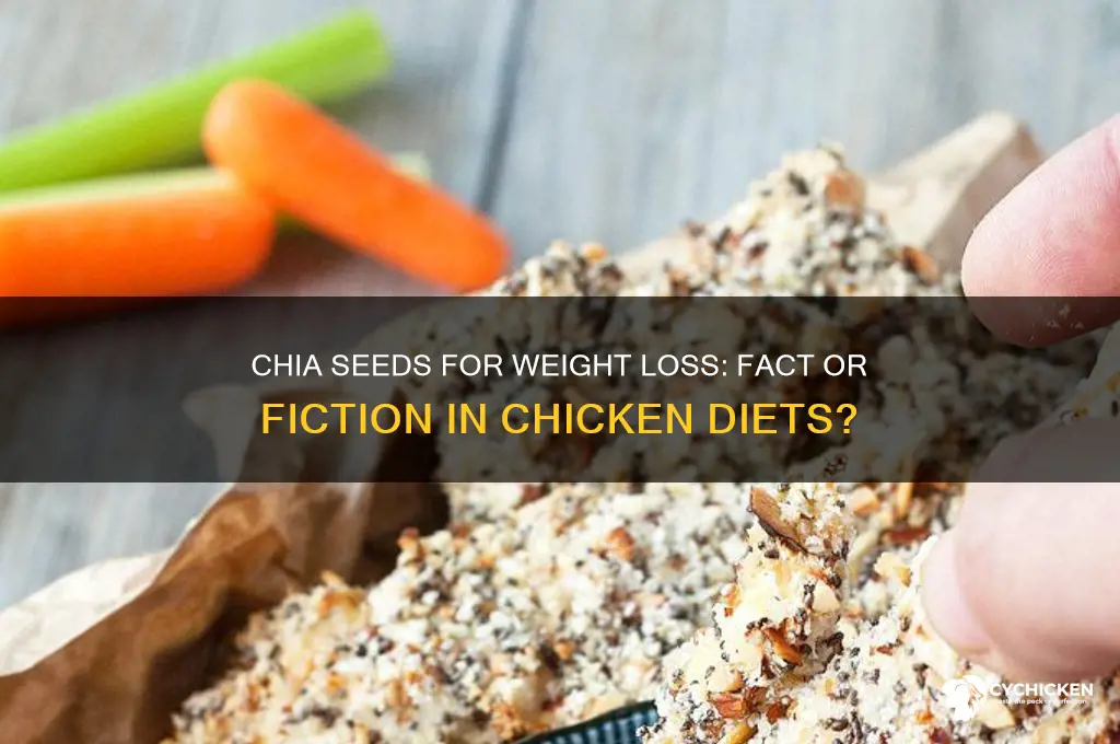 does chia help u lose wei chicken t